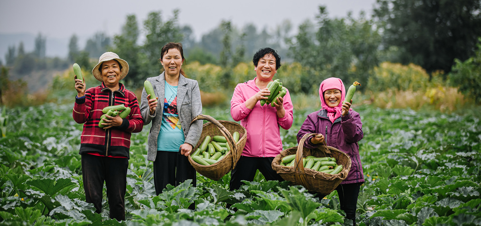 Women Empowerment in Guanglin Agriculture Cooperative.
Photo: UN Women/Qiu Bi