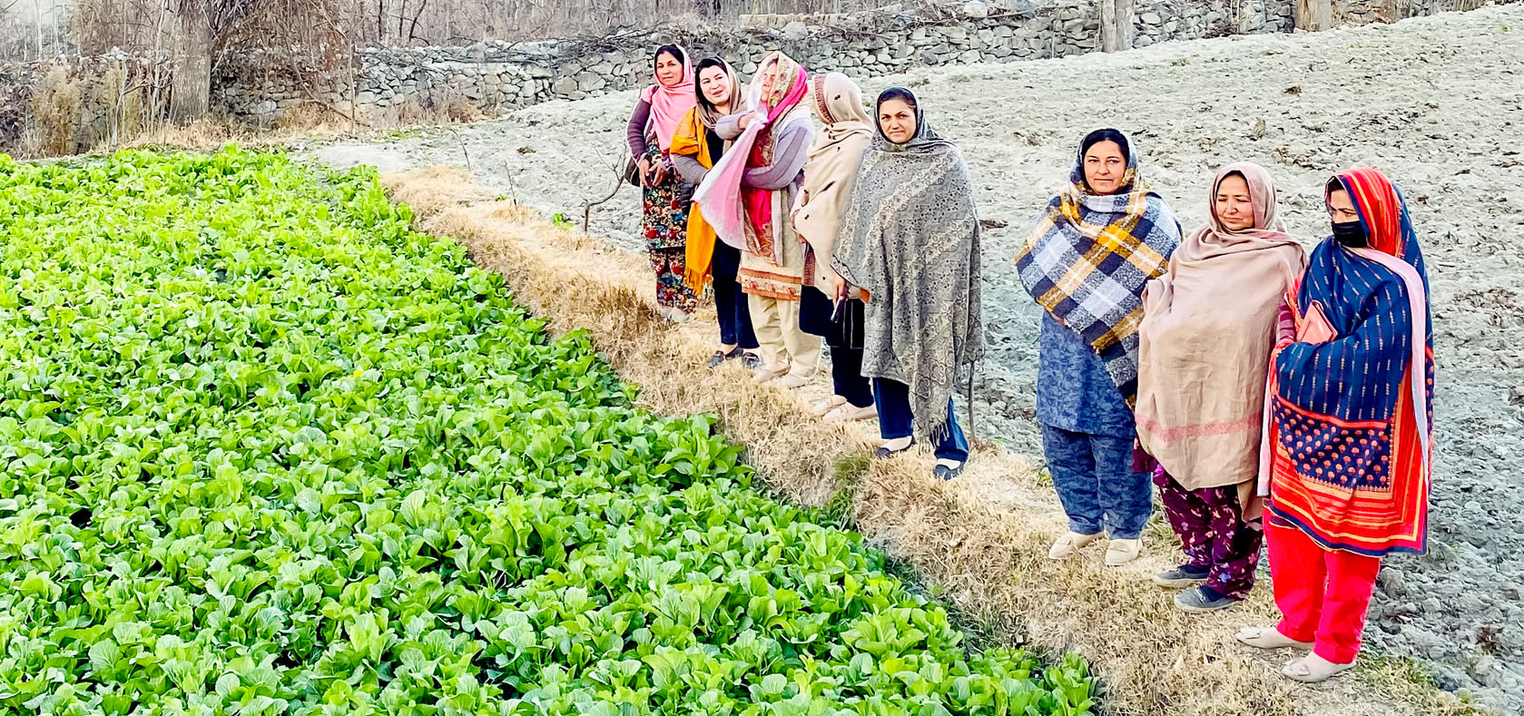 UN Women partner, Soni Jawari Public Policy Center (SJPPC), works with women farmers to ensure women economic empowerment in Gilgit Baltistan. Photo: UN Women