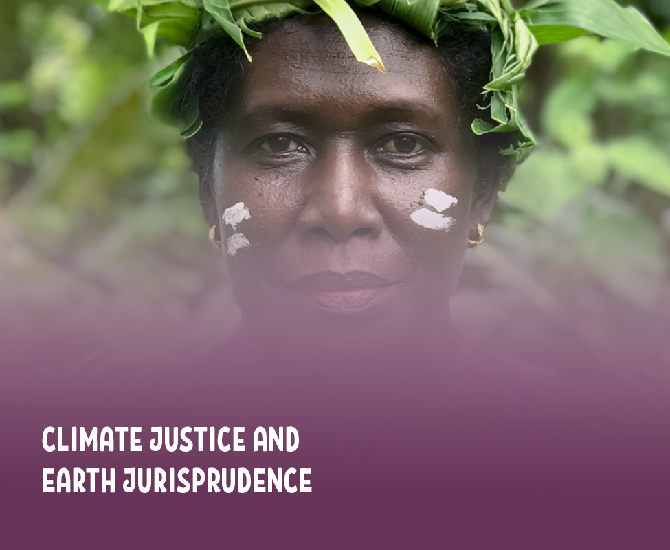 Climate Justice_Subpage_Widget