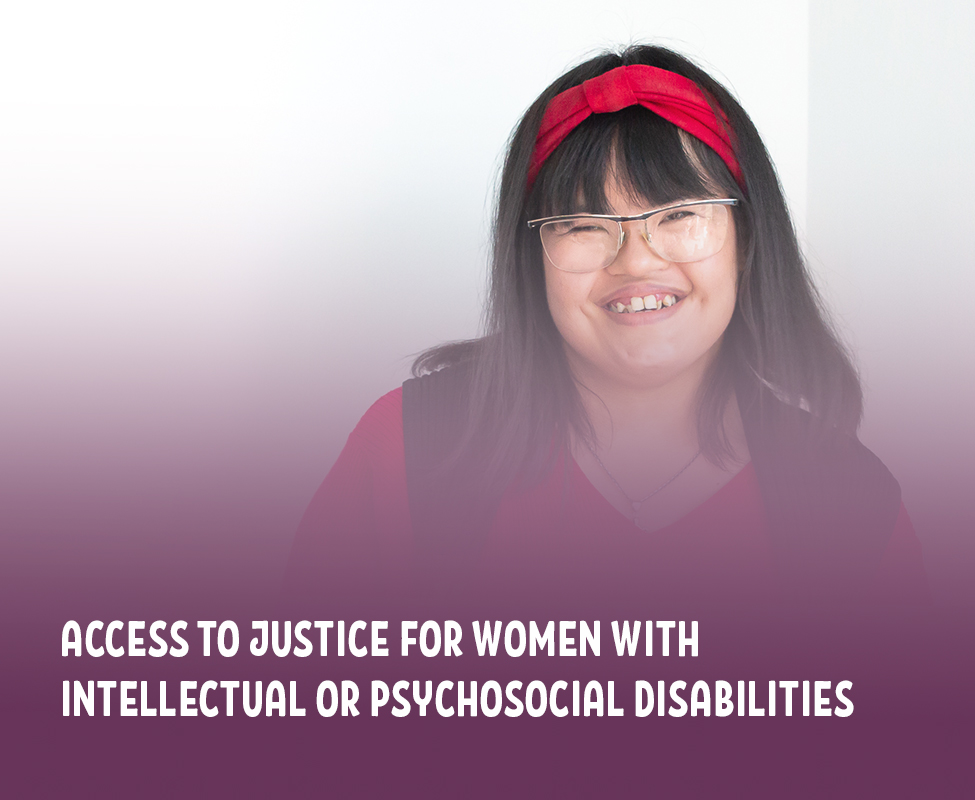 Access to Justice for Women with Disabilities_Subpge_Widget