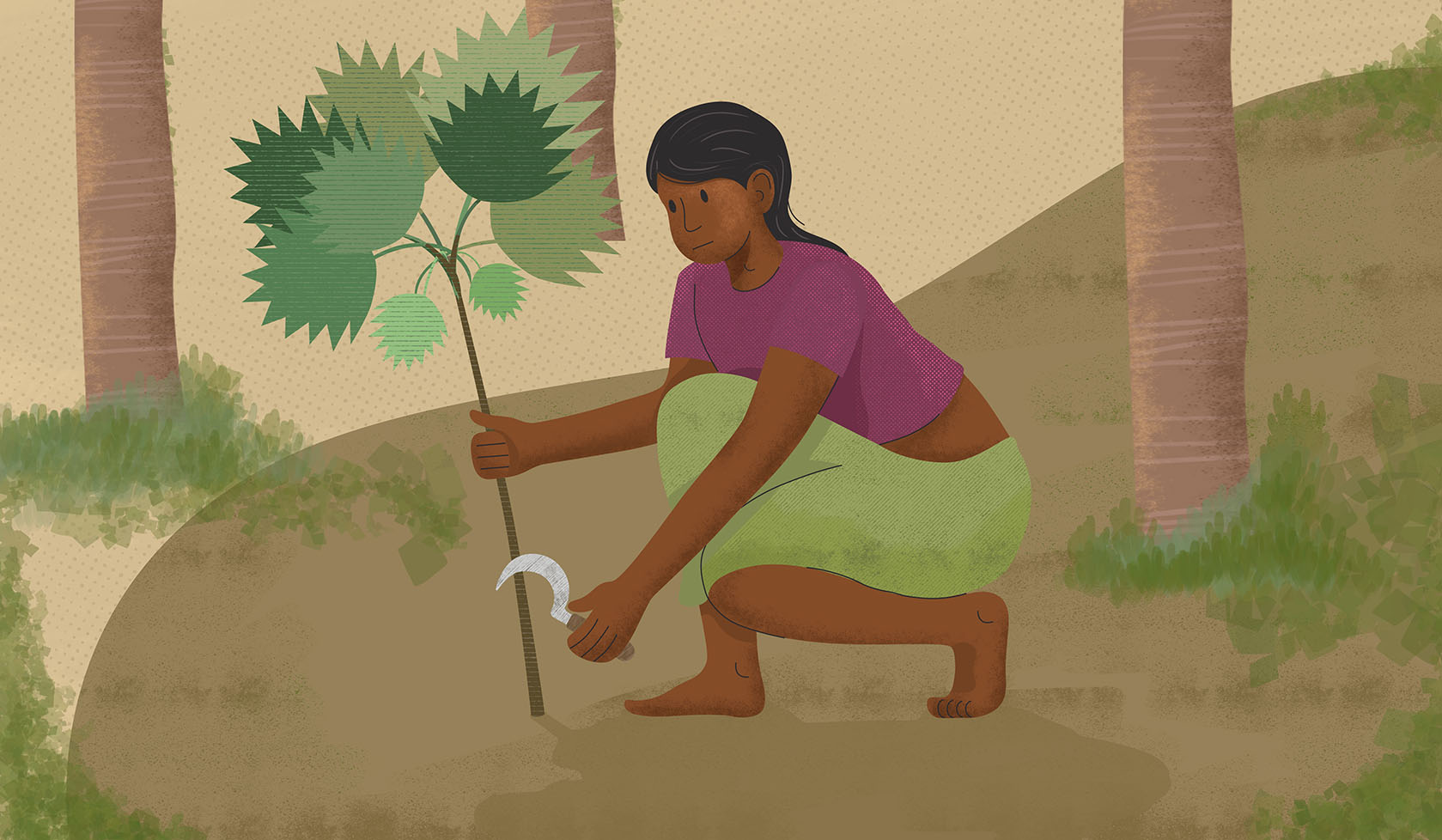 Anita cuts palmyra sticks to help provide for her family. Illustration: UN Women/Dinuk Senapatiratne