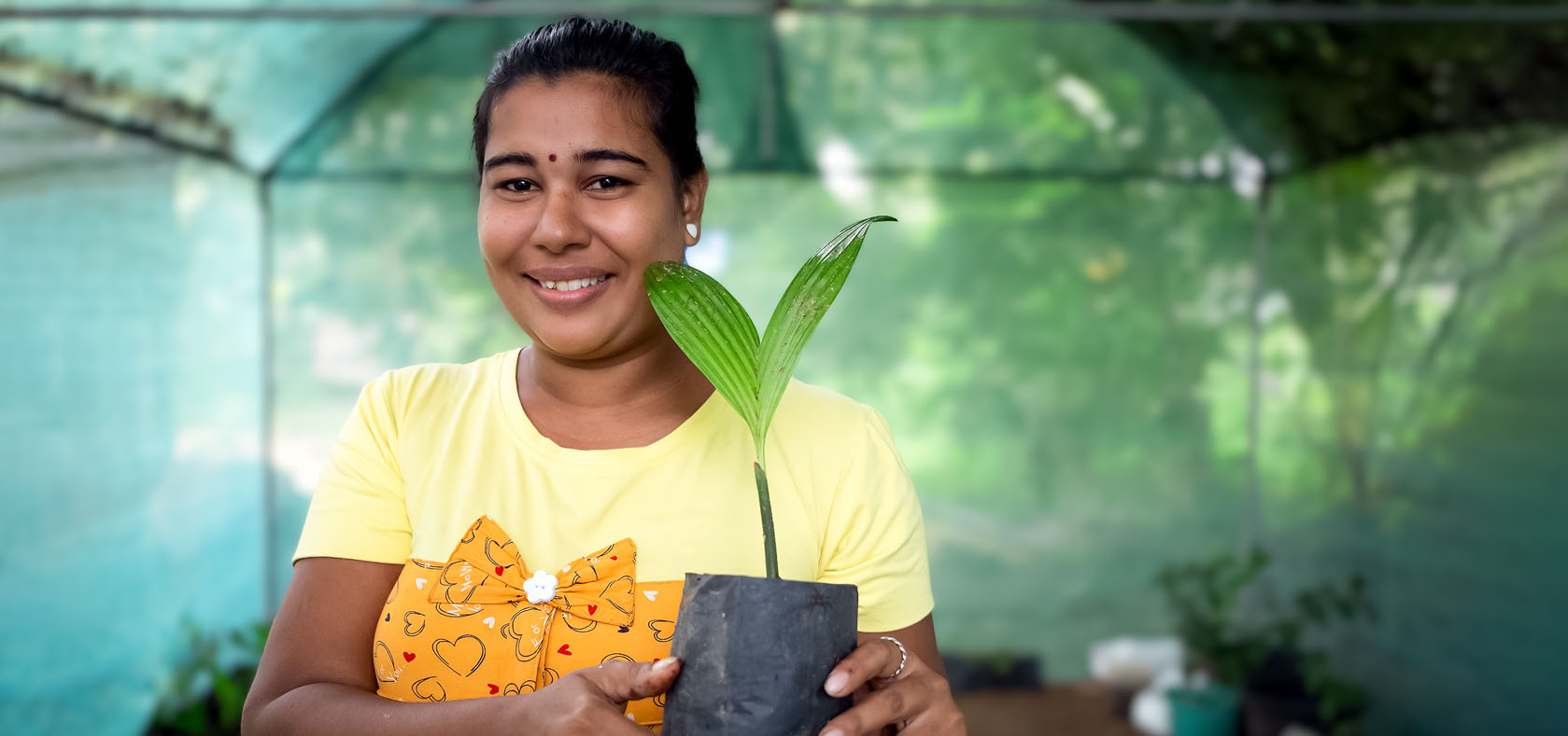 Mugunthan Jeyavinoja holding one of the plants in her greenhouse in Puliyankulam, Vavuniya, Sri Lanka on 8 December 2022. Photo: UN Women Sri Lanka/Ruvin De Silva