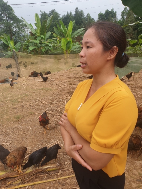 A farmer with her chickens in Lao Cai
