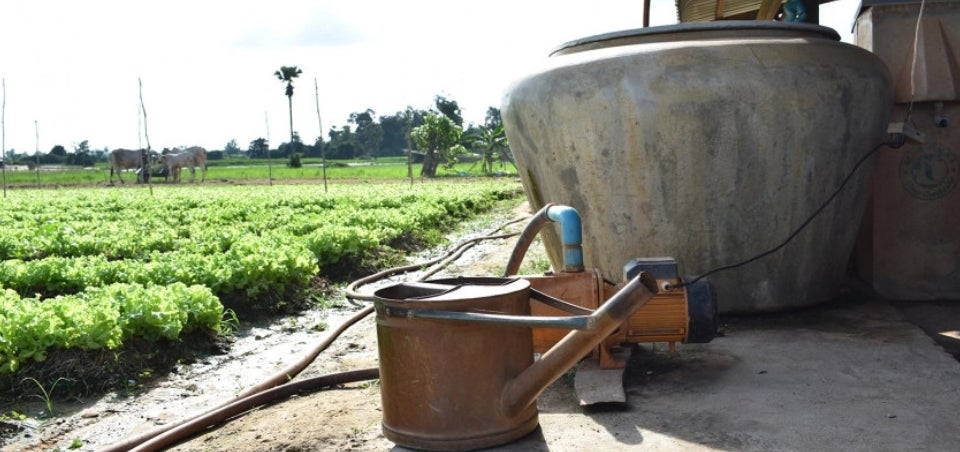 Vegetable gardens bring veritable gains for women in climate-struck Cambodia