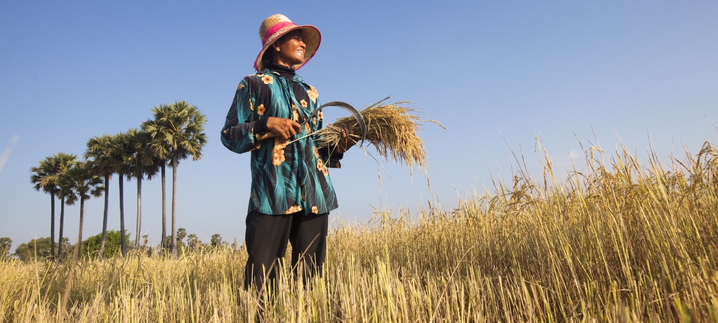 Renewable energy: a boon for women farmers in Cambodia