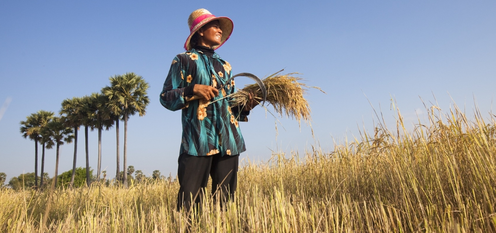 Renewable energy: a boon for women farmers in Cambodia