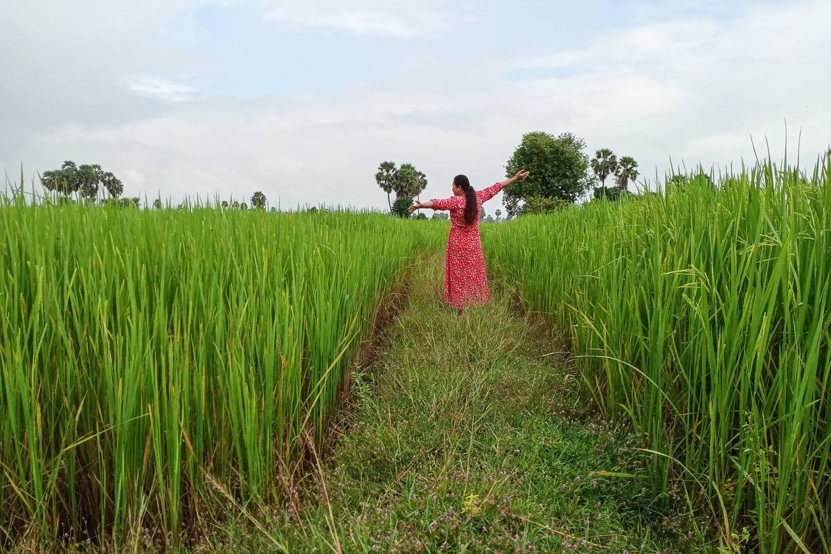 A bright green field of rice is a sharply contrasted with a woman in a bright red dress in the centre, making for a photograph that is undeniably striking and eye-catching. 