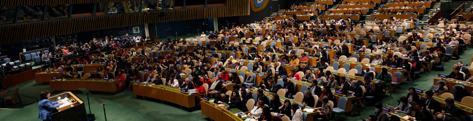 CSW68 Official Meetings