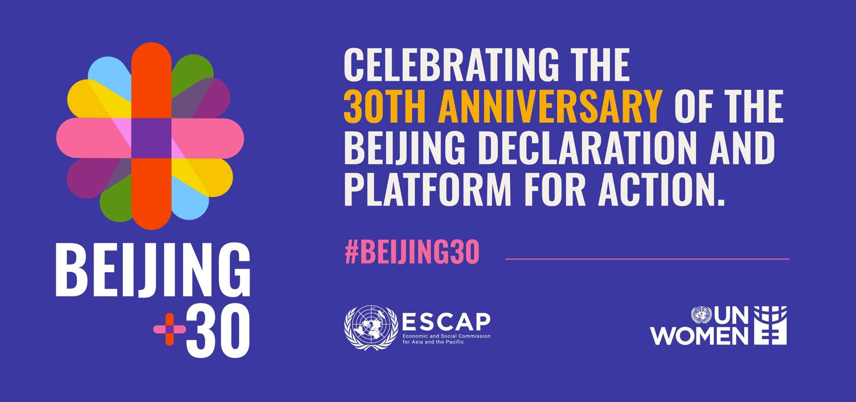 Beijing+30 Banner
