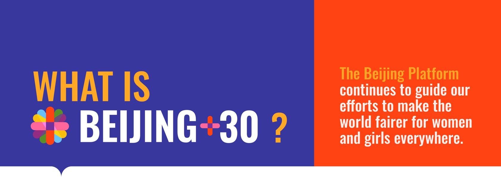 What is Beijing+30