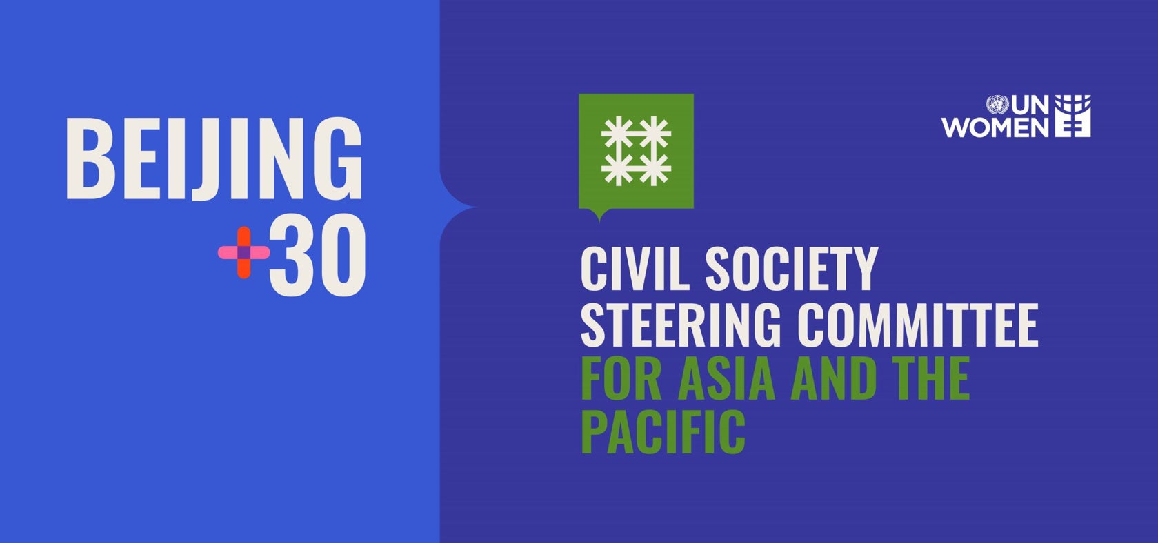 Beijing+30 Civil Society Steering Committee