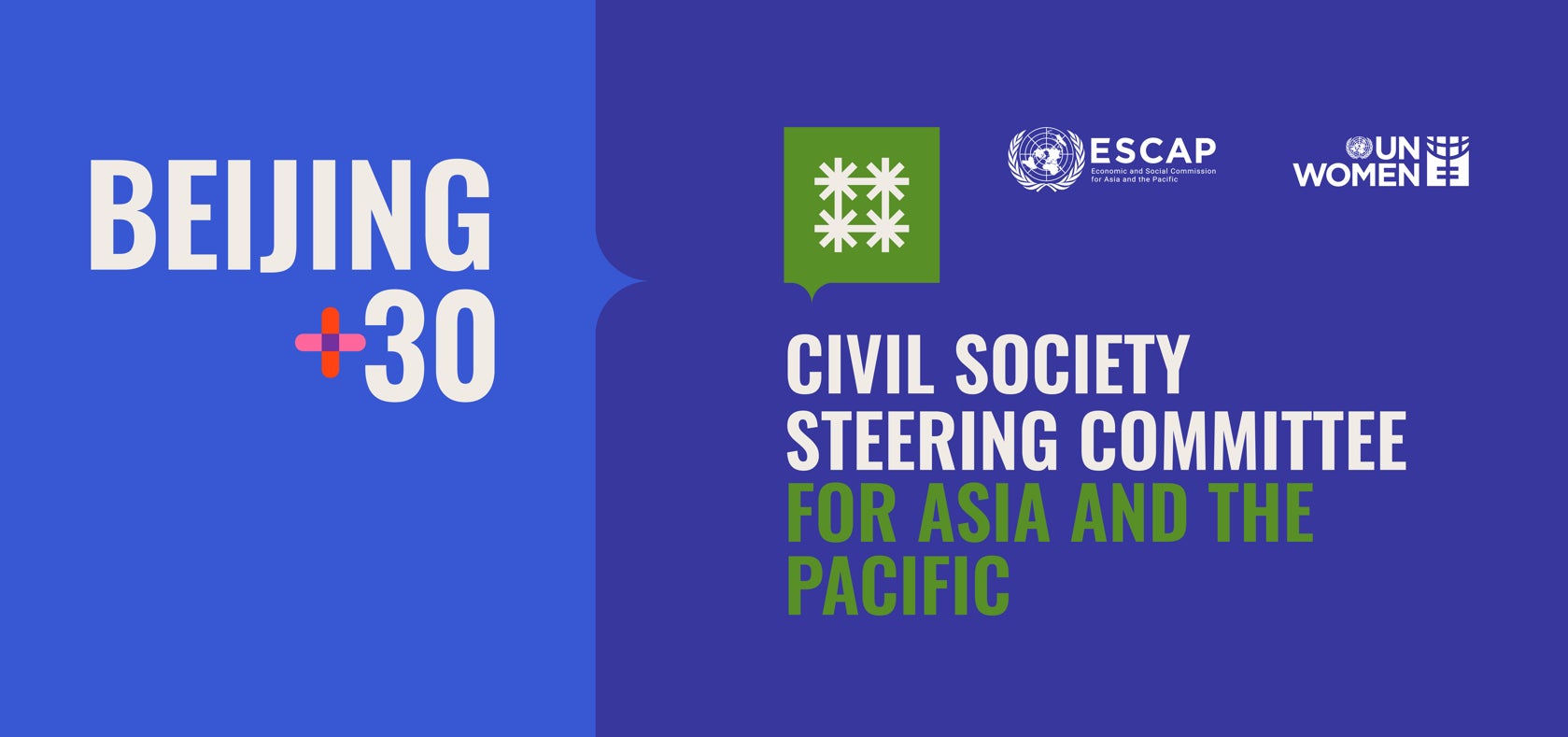 Beijing+30 Civil Society Steering Committee