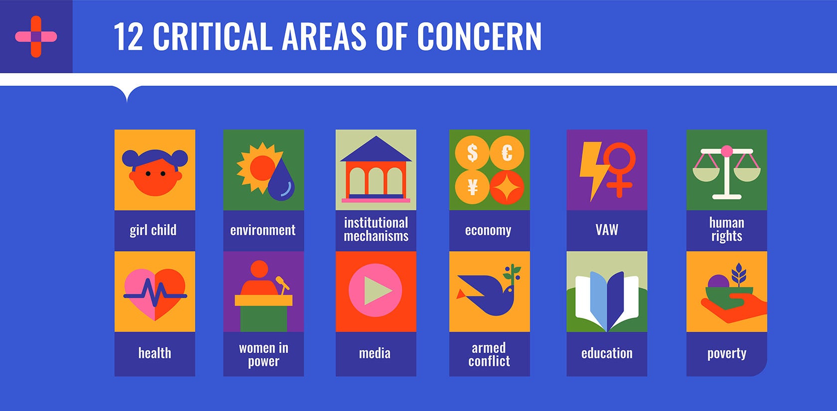 12 CRITICAL AREAS OF CONCERN