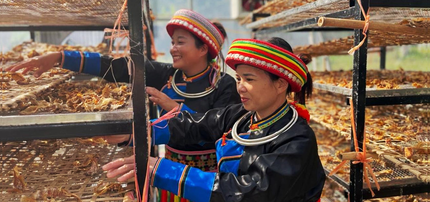 Caption: Women in a solar drying house in Viet Nam's Bắc Kạn province.