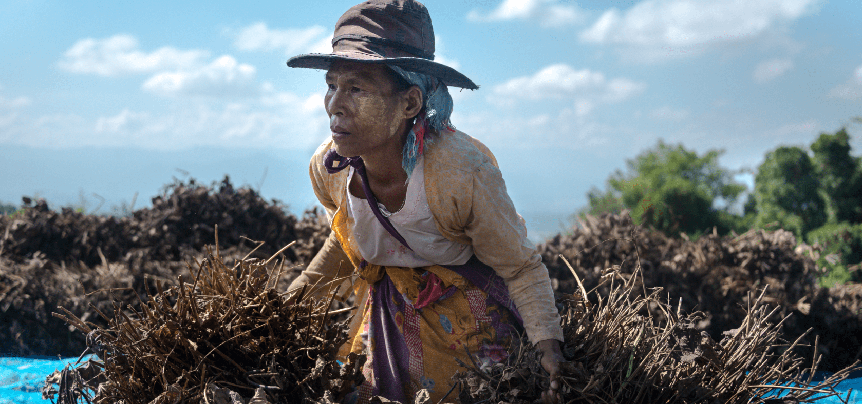 A Myanmar migrant worker carries bunches of shuck beans – green beans dried in the pod – in Thailand's western province of Mae Sot. 