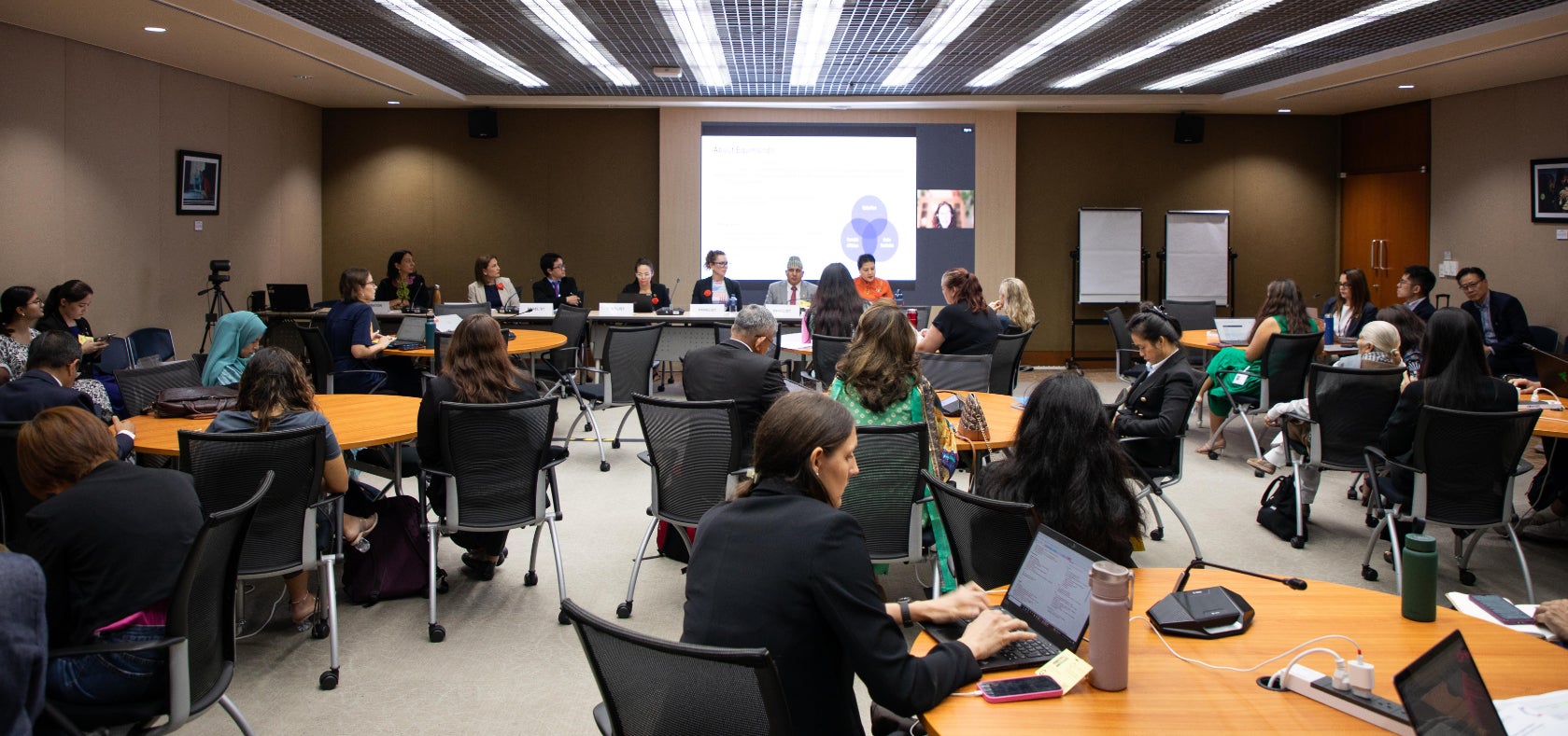 Panelists and participants at the APFSD 12th side event on preventing violence against women, discussing evidence-based solutions and promising practices from the region. 