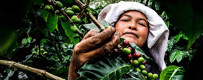 Indonesia  UN Women – Asia-Pacific