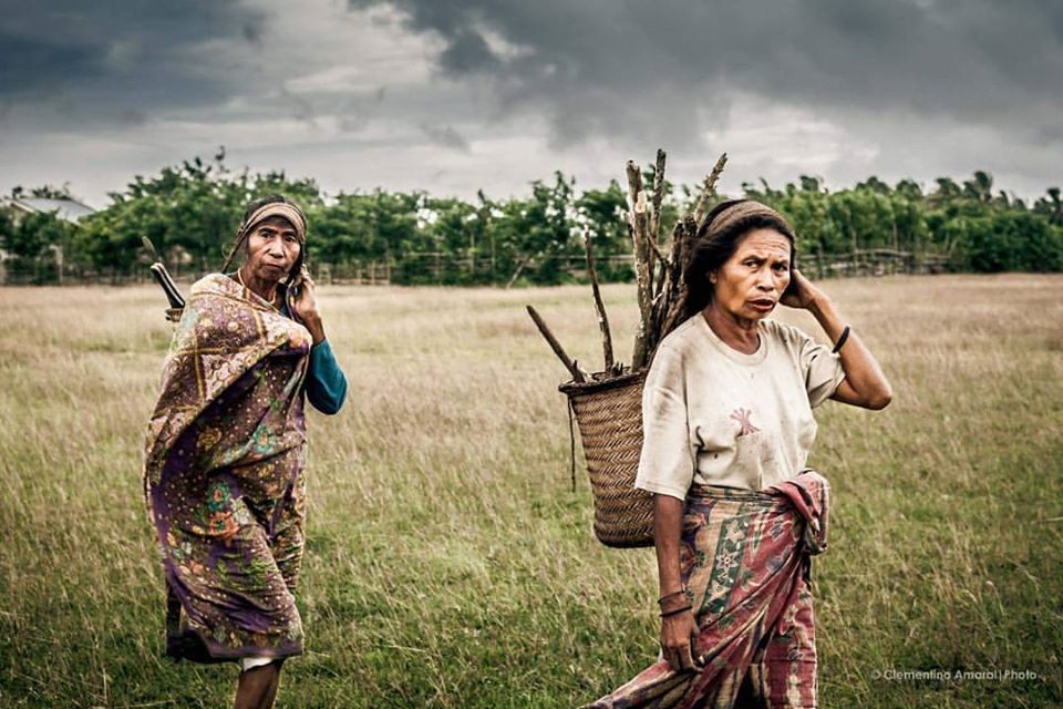 Women collect firewood and vegetables in Lospalos, in eastern Timor-Leste. Photo: Clementino Amaral