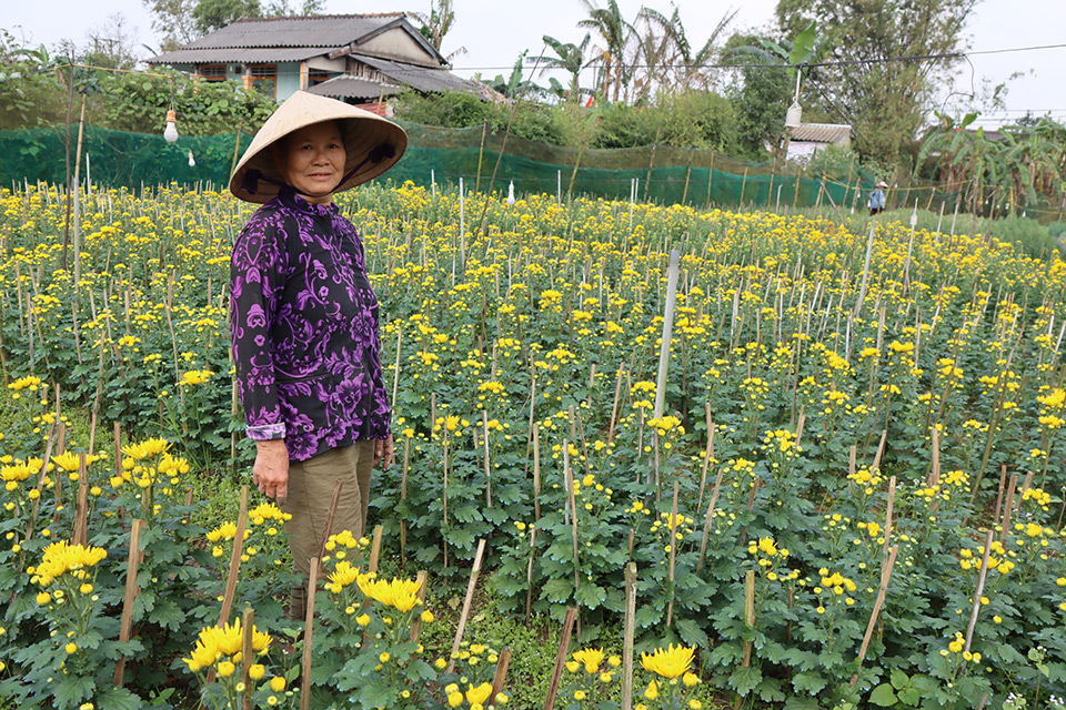 Le Thi An’s flowers fields were all destroyed by the flood. Photo: UN Women/Thao Hoang