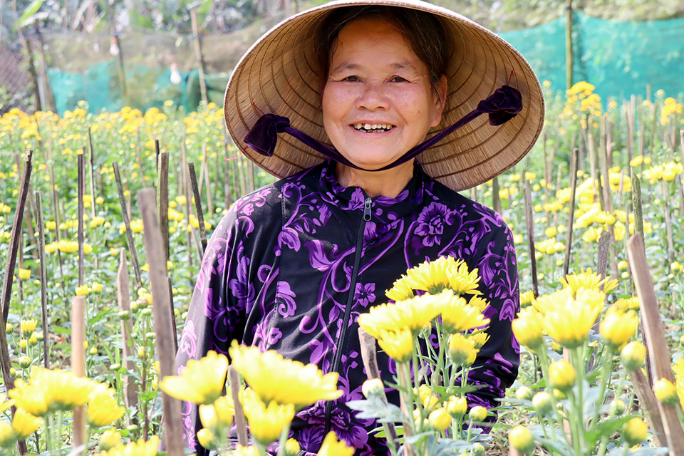 With support from UN Women, Le Thi An has recovered her daisy fields. Photo: UN Women/Thao Hoang