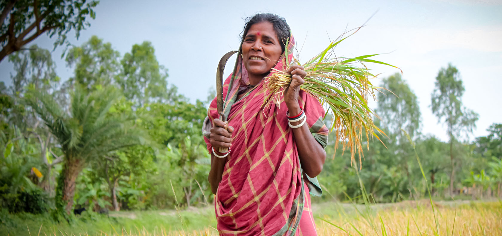 A woman from West Bengal in India harvesting her crops. In India, 74.5 per cent of rural women are agricultural workers but only 9.3 perc ent own the land.  Photo: UN Women/Ashutosh Negi