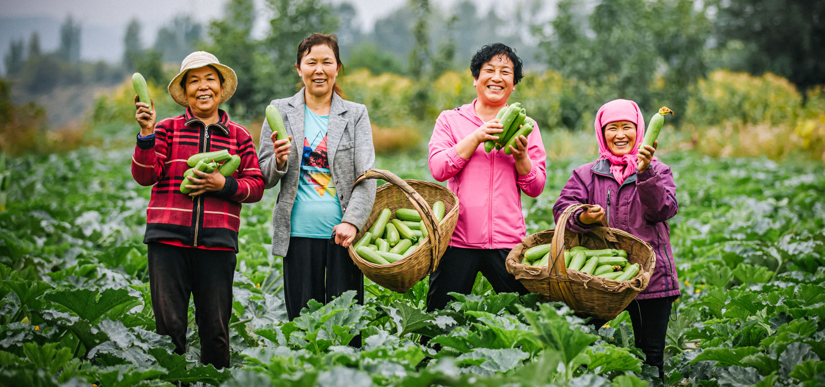 Ms. Li Yulan (second from right) and other cooperative members harvest their agricultural products, 2020. Photo: UN Women/Qiu Bi URL: https://www.flickr.com/photos/unwomenasiapacific/51553744399