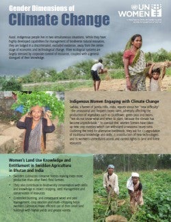 gender dimension climate change.jpg