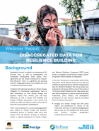 Disaggregated Data for Resilience Building – Webinar Report
