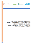 Technical briefing paper: Integrating gender and social inclusion into updated NDC development and implementation in Viet Nam