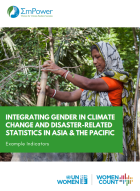 Integrating Gender in Climate Change and Disaster-related Statistics in Asia and the Pacific: Example Indicators