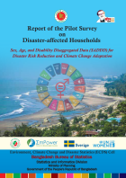 Report of the Pilot Survey on Disaster Affected Households