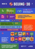 Infographic: What is Beijing+30?