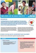 B20 in Asia Pacific factsheet