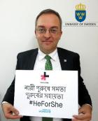HeForShe - Ambassador Johan Frisell of Sweden