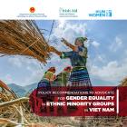 Policy recommendations to advocate for Gender equality in ethnic minority groups in Viet Nam