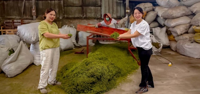 Photo: UN Women and IFAD/Jiaxing Ning