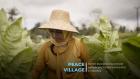 Embedded thumbnail for Peace Village: Women-led Initiative to Promote Peaceful and Resilient Communities in Indonesia