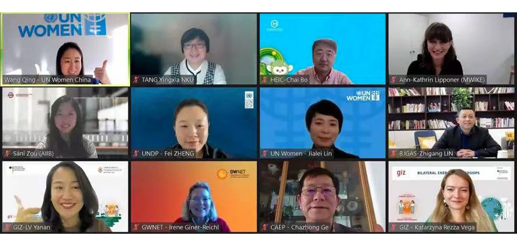 Promoting Gender-just Green Transitions Online Workshop Held in Beijing